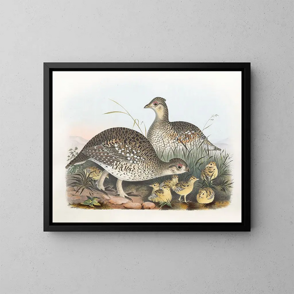 Tetra met puntige staart - Daniel Giraud Elliot — ingelijst kunstwerk aan de muur