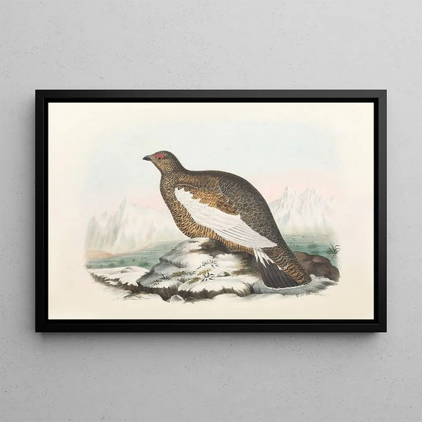Daniel Giraud Elliot - Spitzbergen Ptarmigan.webp