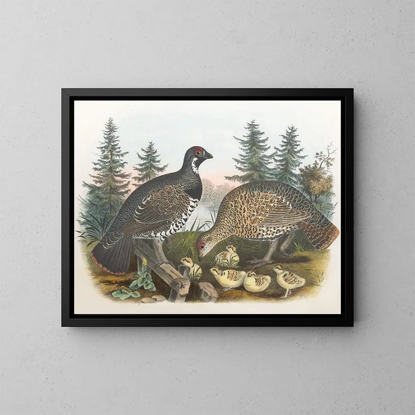 Tétras du Canada - Daniel Giraud Elliot — ingelijst kunstwerk aan de muur