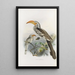 Reproductie van het schilderij Tockus flavirostris - Daniel Giraud Elliot