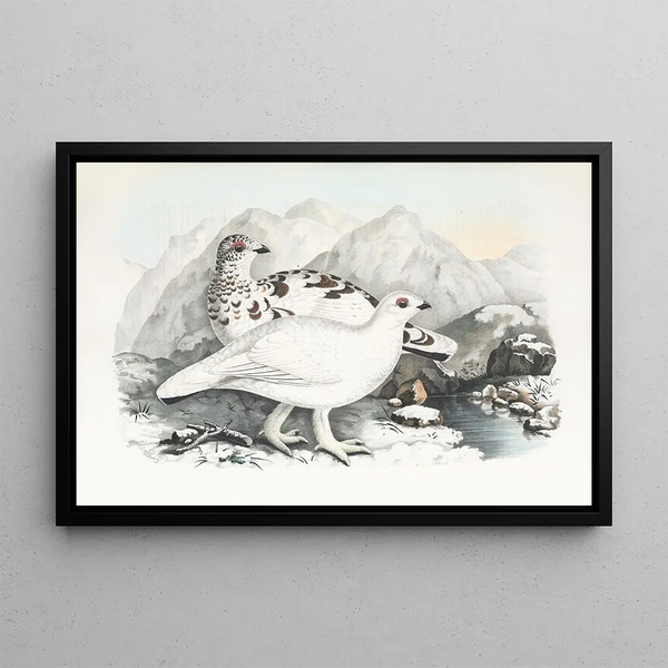 Daniel Giraud Elliot - Willow Grouse.webp