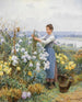 Chrysanten - Daniel Ridgway Knight — weergave van het kunstwerk