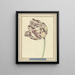 Tulip named Bisar Staaten Generaal - Daniel Marot the Younger — framed artwork on a wall