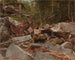 Studie van North Conway, New Hampshire - David Johnson — weergave van het kunstwerk