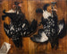 Zwart haan - David Klöcker Ehrenstrahl — weergave van het kunstwerk