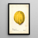 Reproductie van het schilderij Carica papaya - Deborah Griscom Passmore