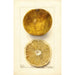 Citrus paradisi Scrubs - Deborah Griscom Passmore — weergave van het kunstwerk