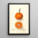 Reproductie van het schilderij Citrus sinensis UnShu - Deborah Griscom Passmore
