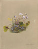 Album aquarelle van Deborah Griscom Passmore Pl07 - Deborah Griscom Passmore — weergave van het kunstwerk