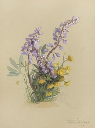 Deborah Griscom Passmore - Deborah Griscom Passmore watercolor album Pl10.webp