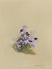 Album aquarelle van Deborah Griscom Passmore Pl18 - Deborah Griscom Passmore — weergave van het kunstwerk