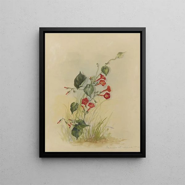 Deborah Griscom Passmore - Deborah Griscom Passmore watercolor album Pl34.webp