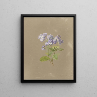 Deborah Griscom Passmore - Deborah Griscom Passmore watercolor album Pl36.webp