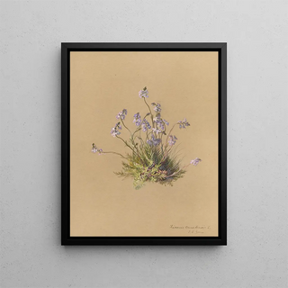 Deborah Griscom Passmore - Deborah Griscom Passmore watercolor album Pl40.webp