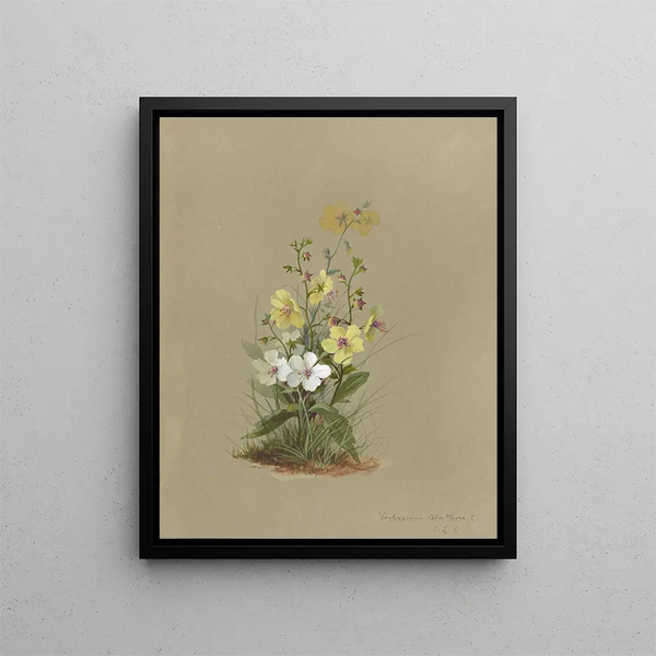 Deborah Griscom Passmore - Deborah Griscom Passmore watercolor album Pl41.webp