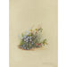 Album met aquarellen van Deborah Griscom Passmore Pl43 - Deborah Griscom Passmore — weergave van het kunstwerk