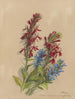Album aquarelle van Deborah Griscom Passmore Pl45 - Deborah Griscom Passmore — weergave van het kunstwerk