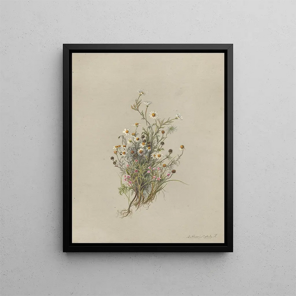 Deborah Griscom Passmore - Deborah Griscom Passmore watercolor album Pl48.webp