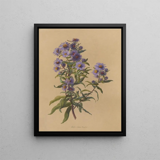 Deborah Griscom Passmore - Deborah Griscom Passmore watercolor album Pl49.webp