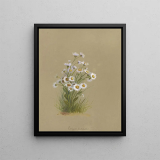 Deborah Griscom Passmore - Deborah Griscom Passmore watercolor album Pl50.webp