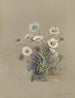 Album aquarelle van Deborah Griscom Passmore Pl52 - Deborah Griscom Passmore — weergave van het kunstwerk