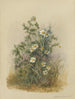 Album aquarelle van Deborah Griscom Passmore Pl53 - Deborah Griscom Passmore — weergave van het kunstwerk