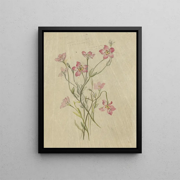 Deborah Griscom Passmore - Deborah Griscom Passmore watercolor album Pl67.webp