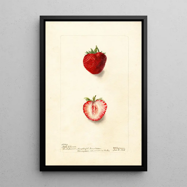 Fragaria Nick Ohmer - Deborah Griscom Passmore — ingelijst kunstwerk aan de muur