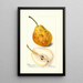 Reproductie van het schilderij Pyrus communis Président Gilbert - Deborah Griscom Passmore