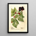 Reproductie van het schilderij Rubus Conrath - Deborah Griscom Passmore