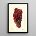 Vitis Bauch - Deborah Griscom Passmore — ingelijst kunstwerk aan de muur