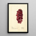 Reproductie van het schilderij Vitis Jacob Moore - Deborah Griscom Passmore