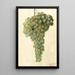 Vitis Malaga - Deborah Griscom Passmore — ingelijst kunstwerk aan de muur