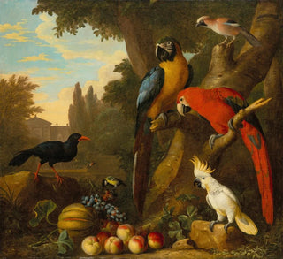 Deux aras, un cacatoès, un corbeau à bec rouge et d'autres oiseaux dans un paysage avec des fruits - Jakob Bogdny