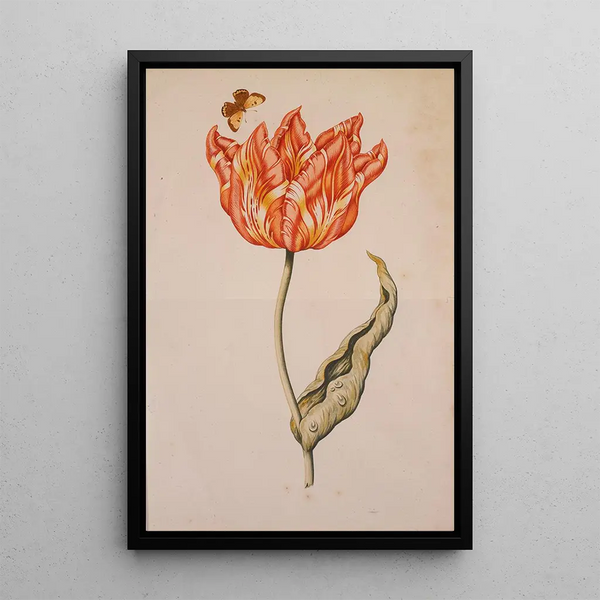 Dutch School - An Orange And Yellow Tulip With A Butterfly.webp