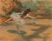 Danseuse sur pointe - Edgar Degas — weergave van het kunstwerk