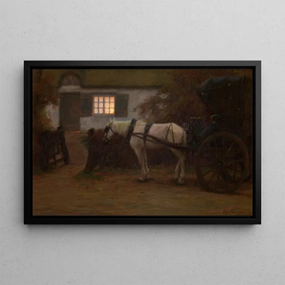 Edgard Farasyn - The Village Doctor.webp