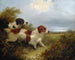 Twee terriërs - Edward Armfield — weergave van het kunstwerk
