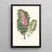 Reproductie van het schilderij De bladachtige planten - Edward Joseph Lowe