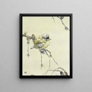 Edward Julius Detmold - The Blue Tit.webp