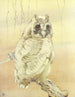 De Oehoe middel-uil - Edward Julius Detmold — weergave van het kunstwerk