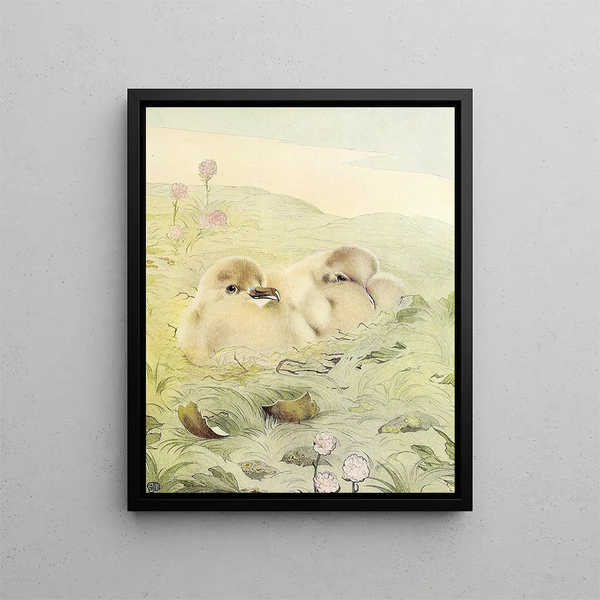 Edward Julius Detmold - The Skua.webp