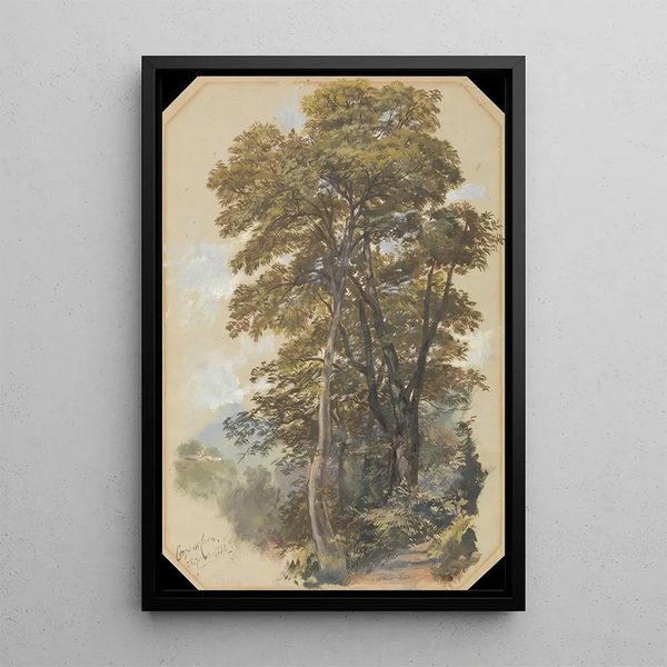 Corpo di Cava 28 juni 1838 - Edward Lear — ingelijst kunstwerk aan de muur