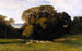 Nuneham - Edward Lear — weergave van het kunstwerk