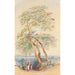 Studie van een boom Trichinopoly India - Edward Lear — weergave van het kunstwerk