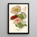 Reproductie van het schilderij Asters de Chine - Edward Step