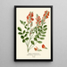 Reproductie van het schilderij Sainfoin - Edward Step