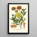 Reproductie van het schilderij Gaillarde elegante - Edward Step