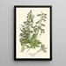 Reproductie van het schilderij Delphinium hybride - Edward Step
