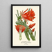 Reproductie van het schilderij Cactus à tiges feuillues - Edward Step | Reproduction